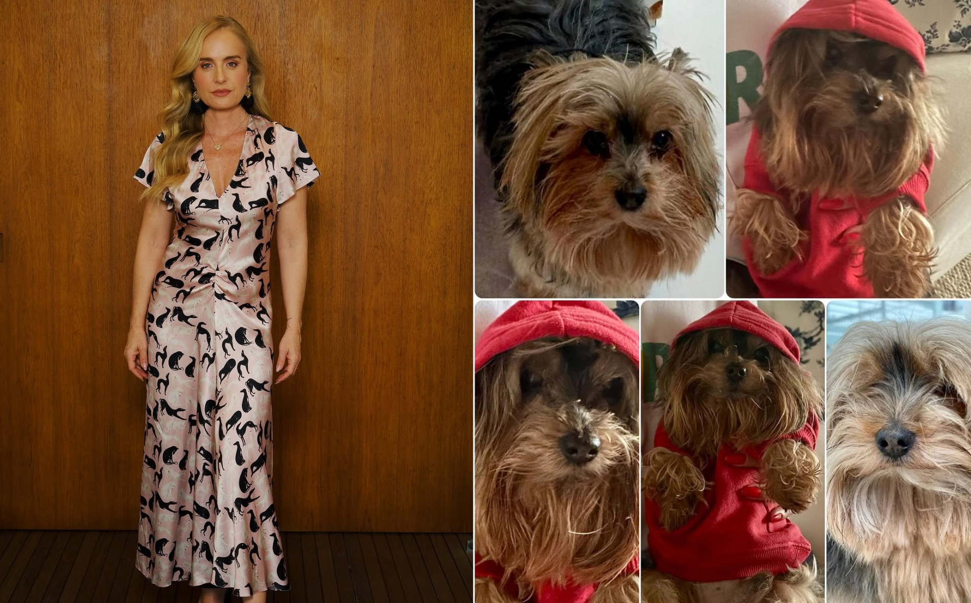 Angélica lamentou morte de cachorrinha Pupu - Reprodução/Instagram 