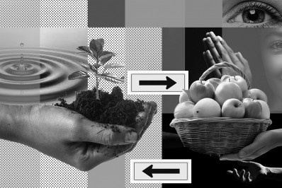 O segredo da vida próspera: o que você planta, você colhe!