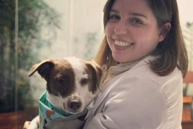 Calor nas alturas: saiba como cuidar dos pets no verão