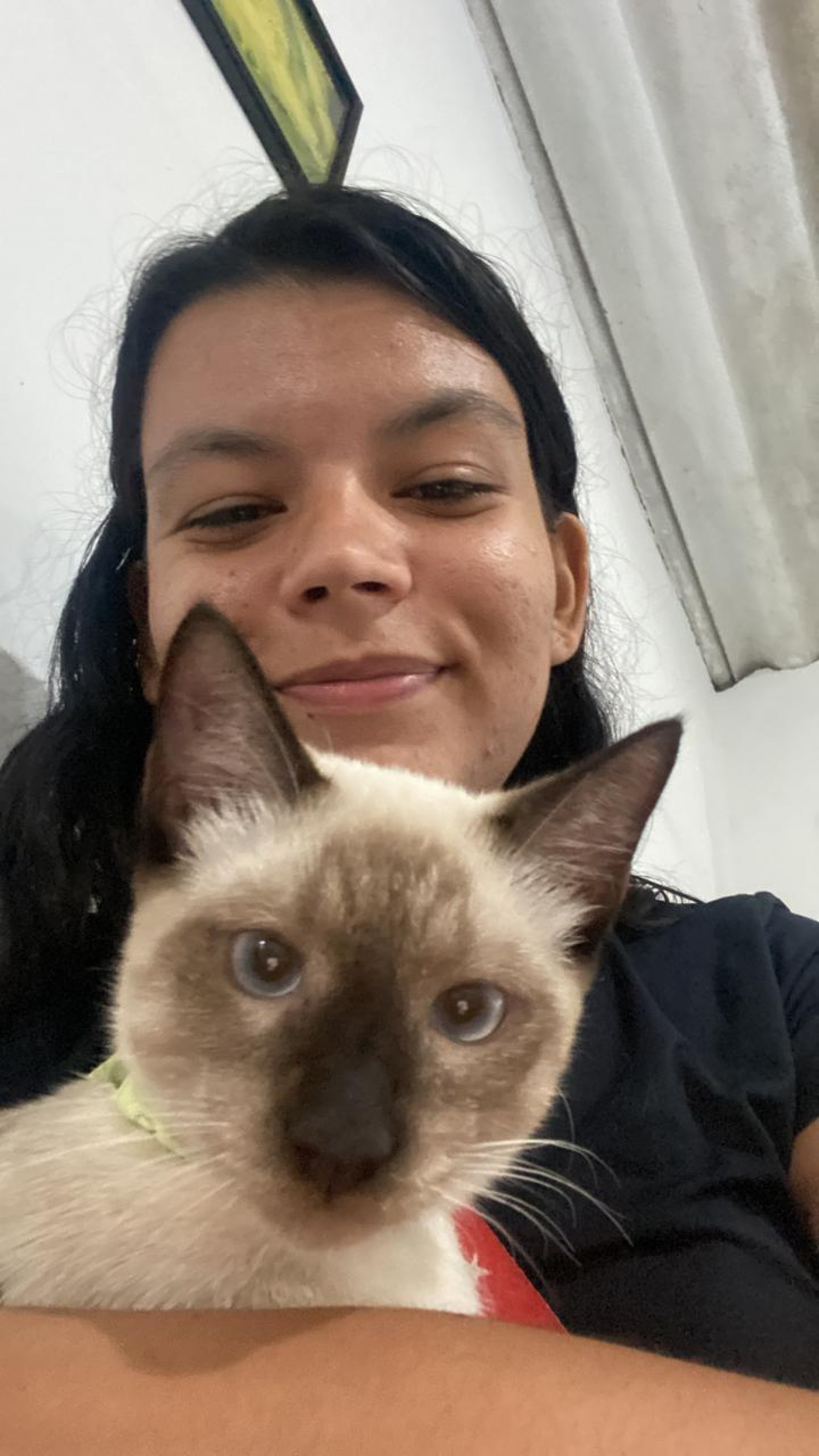 Victoria Rangel é tutora dos simpáticos gatinhos Tico (foto) e Kitty