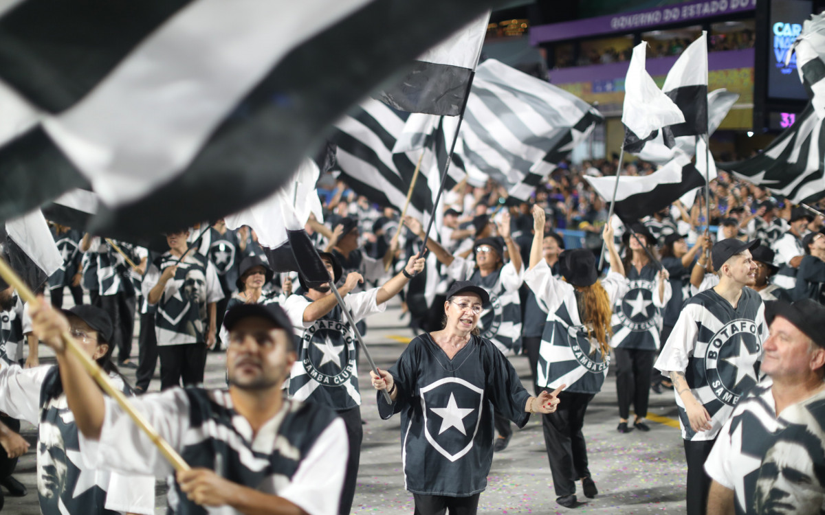 Desfile da Botafogo Samba Clube na s&eacute;rie Ouro do Carnaval 2025


 - Pedro Teixeira/Ag&ecirc;ncia O Dia