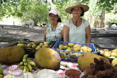 Tradição na agricultura gonçalense passa por gerações