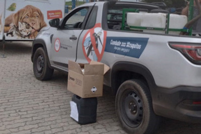 CCZ elimina quase 300 focos do Aedes aegypti com ações em 24 bairros