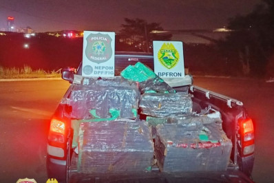 PF e PM apreendem 350 kg de maconha na margem do rio Paraná