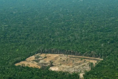 Organizações sociais propõem plano para investimentos na Amazônia