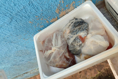 Homem é preso por operar restaurante clandestino de comida japonesa