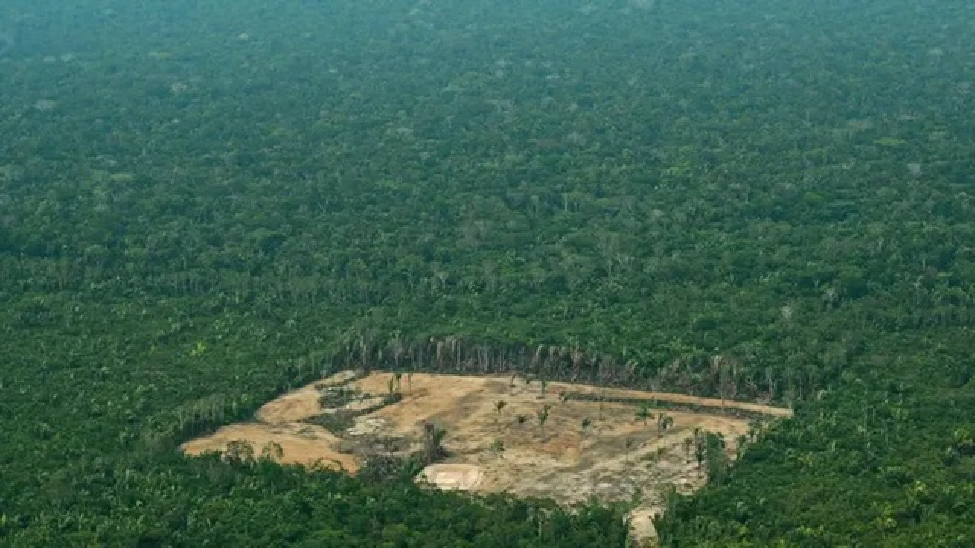 Câmara aprova projeto de lei que proíbe embargo ambiental com base em imagens de satélites