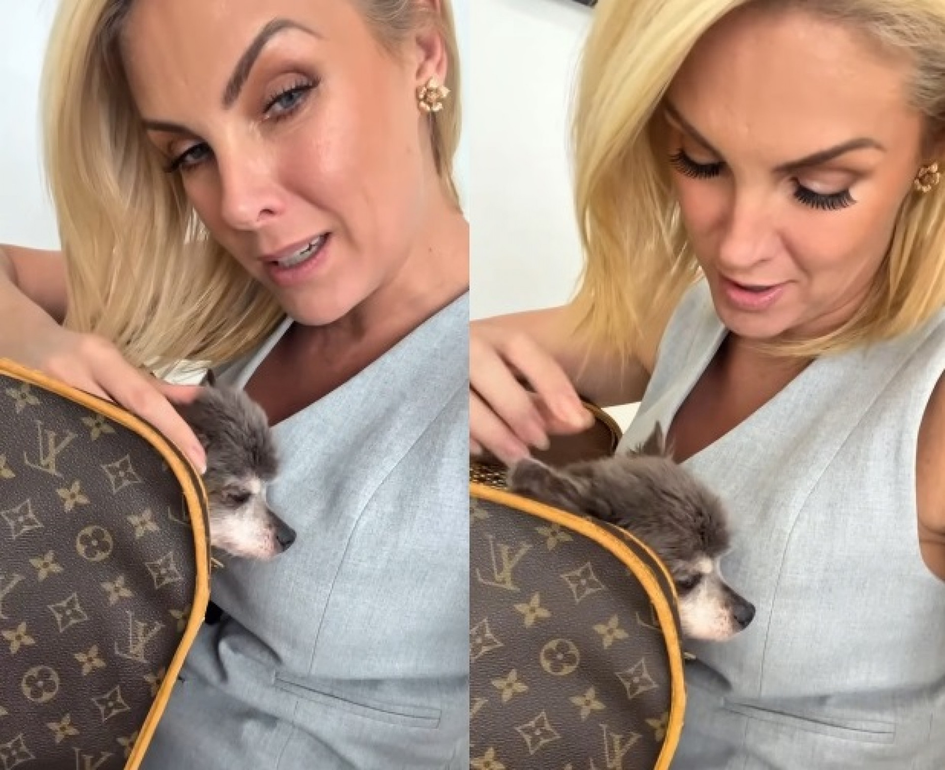 Ana Hickmann relatou internação do cachorro da família  - Reprodução/Instagram 