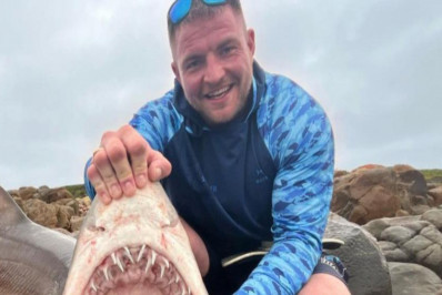 Galês sobrevive após ataque de tubarão de 136kg na África do Sul