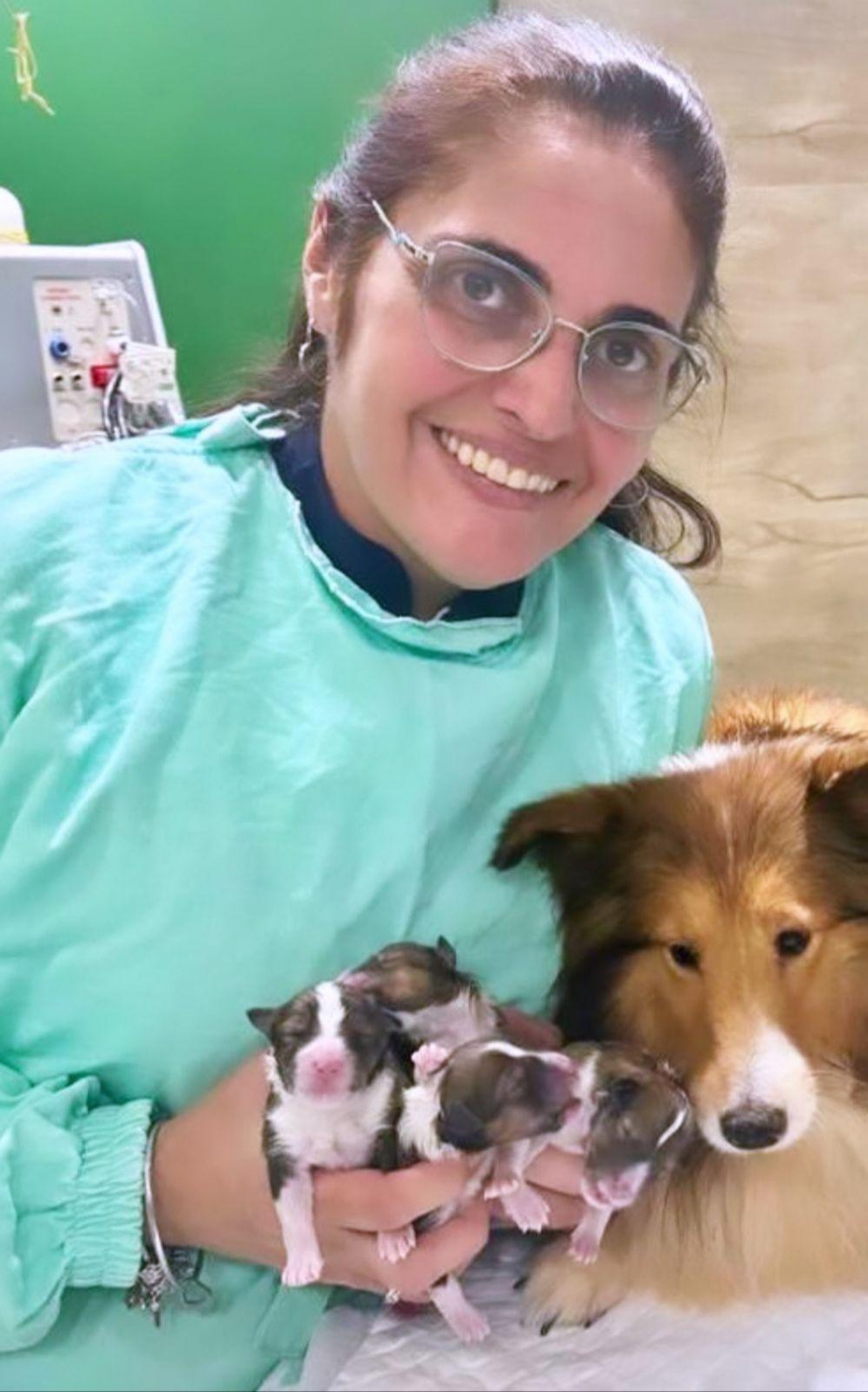 A médica veterinária Bárbara Sansão aprova a convivência entre gatos