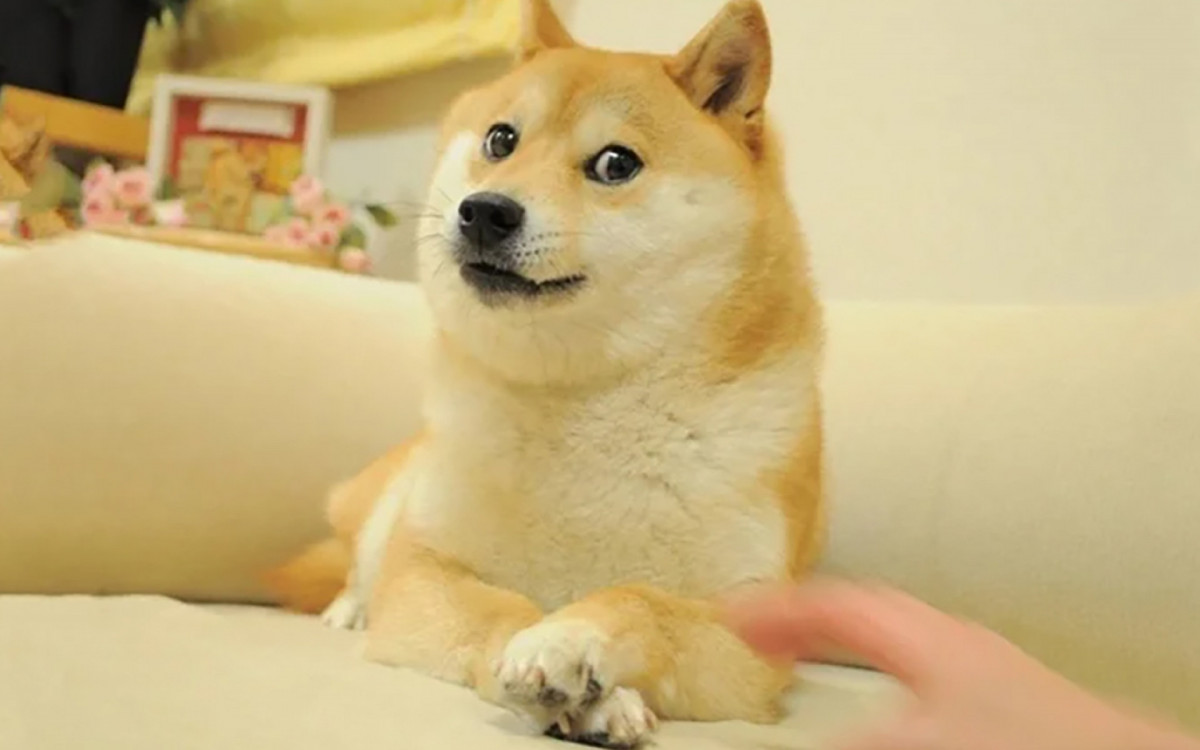 O meme de cada signo no Carnaval