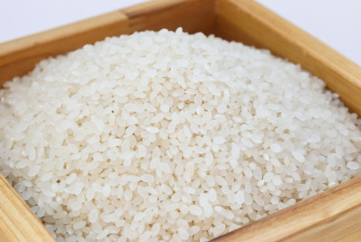 Entenda a estratégia econômica do Japão de leiloar arroz