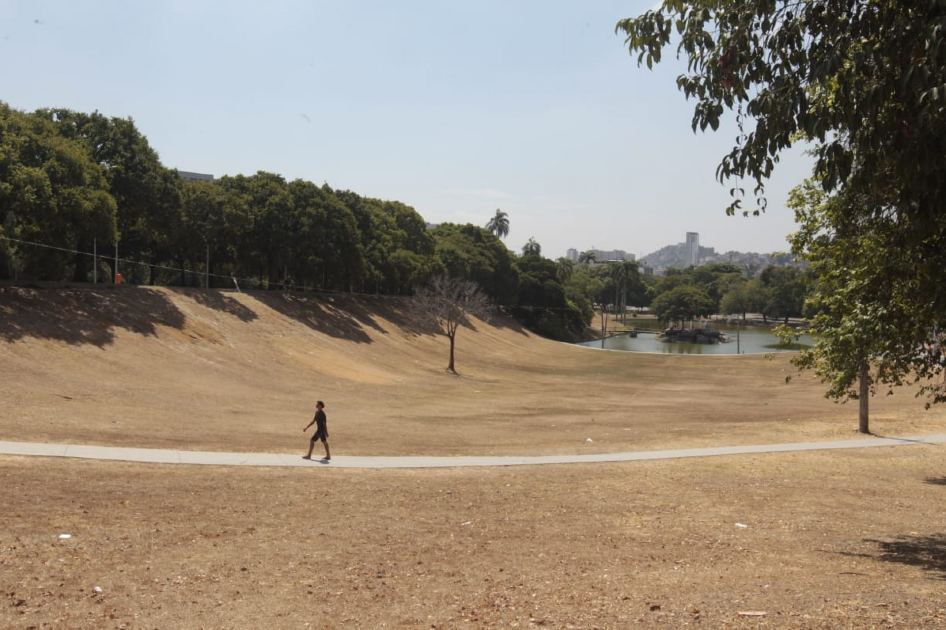Falta de chuvas no Rio deixou grama seca na Quinta da Boa Vista - Reginaldo Pimenta/Agência O Dia