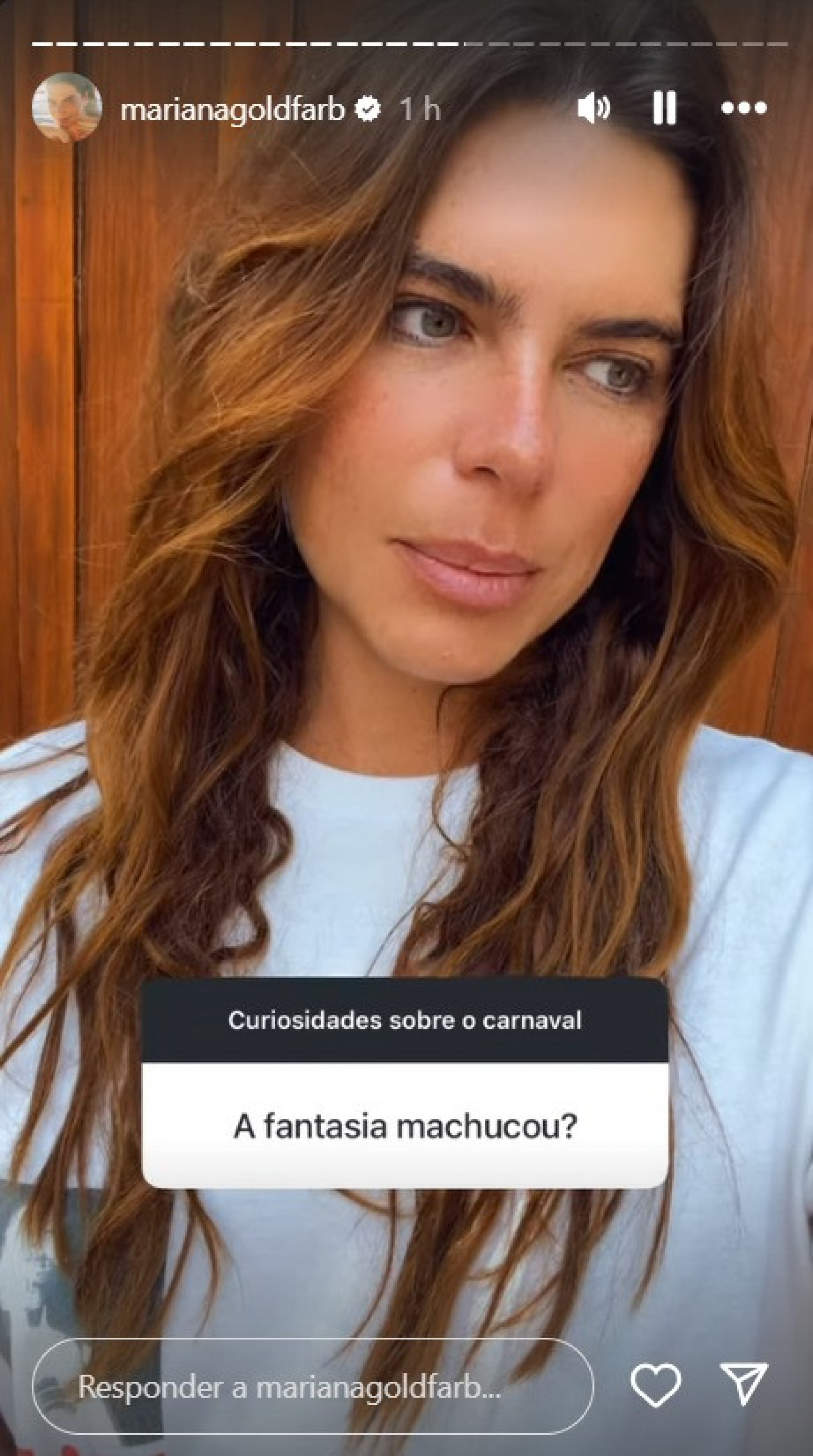 Mariana Goldfarb comenta sobre desconforto com a fantasia de Carnaval  - Reprodu&ccedil;&atilde;o Instagram