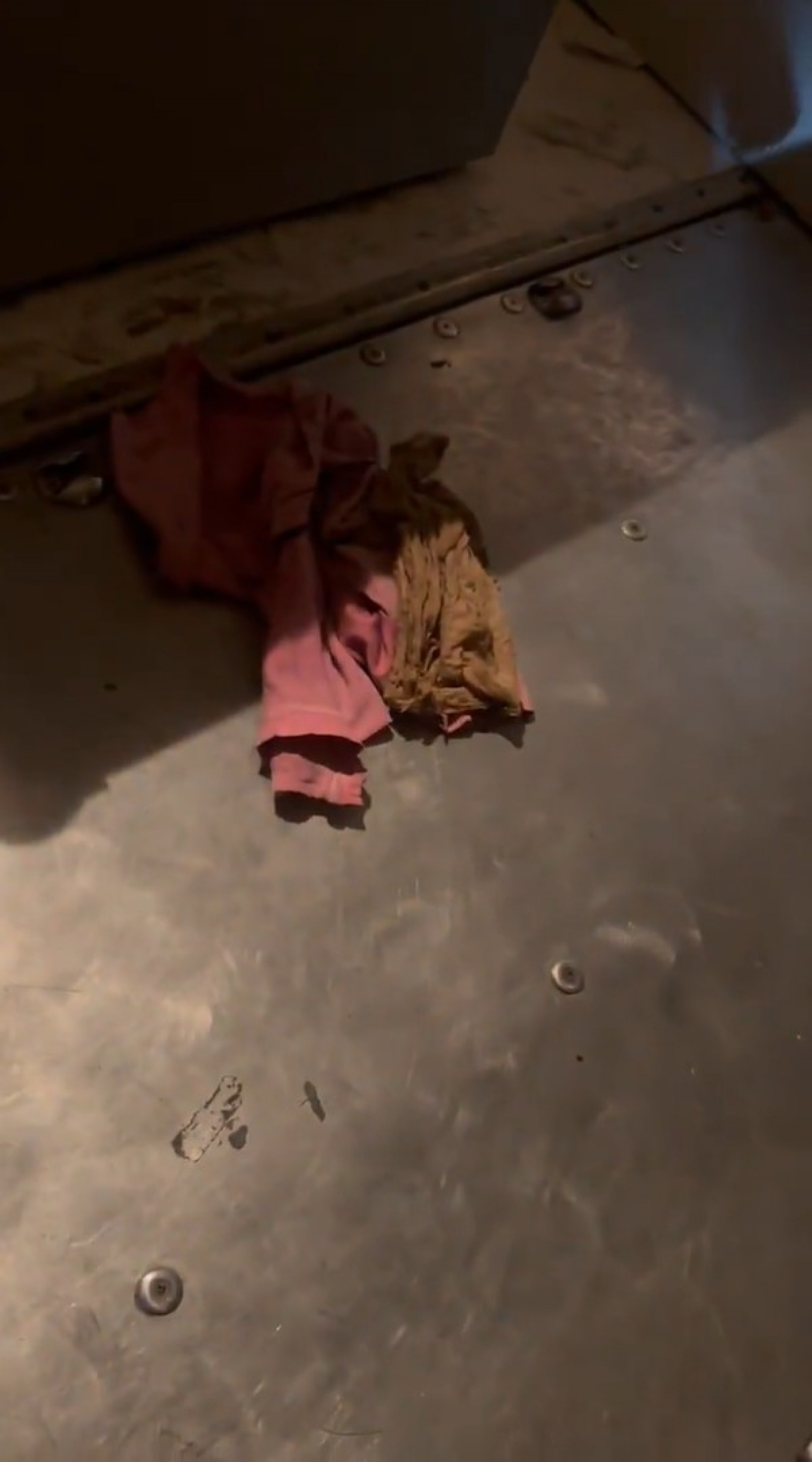 Voo da Air India precisa voltar para Chicago após banheiros serem entupidos com trapos, roupas e sacolas plásticas - Reprodução / Redes Sociais