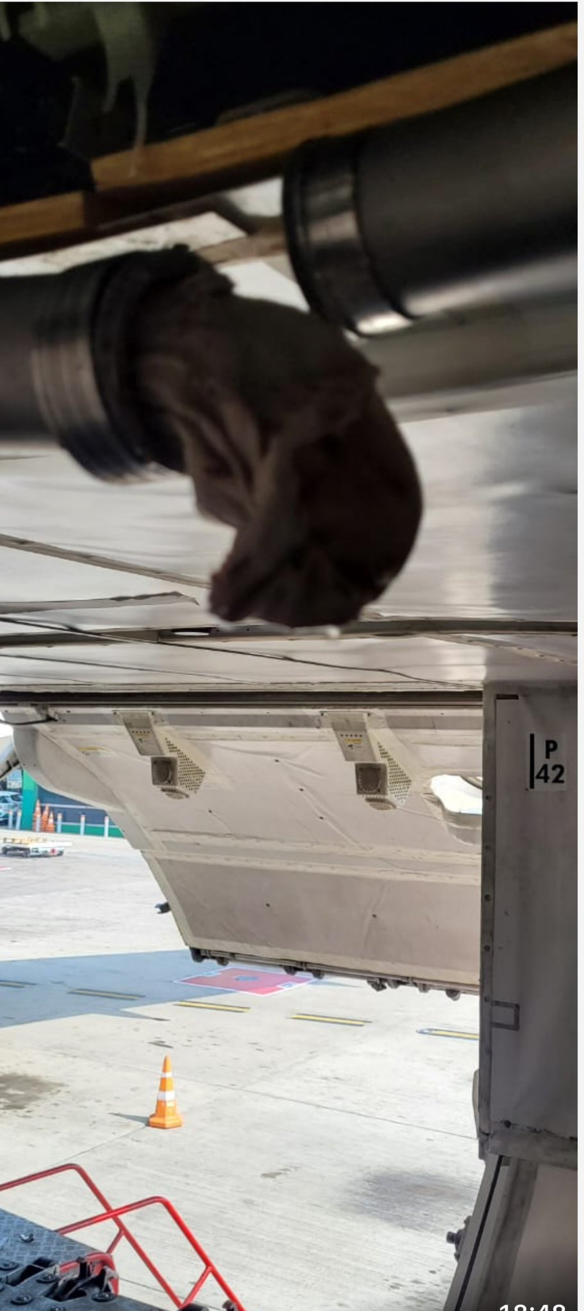 Voo da Air India precisa voltar para Chicago após banheiros serem entupidos com trapos, roupas e sacolas plásticas - Reprodução / Redes Sociais