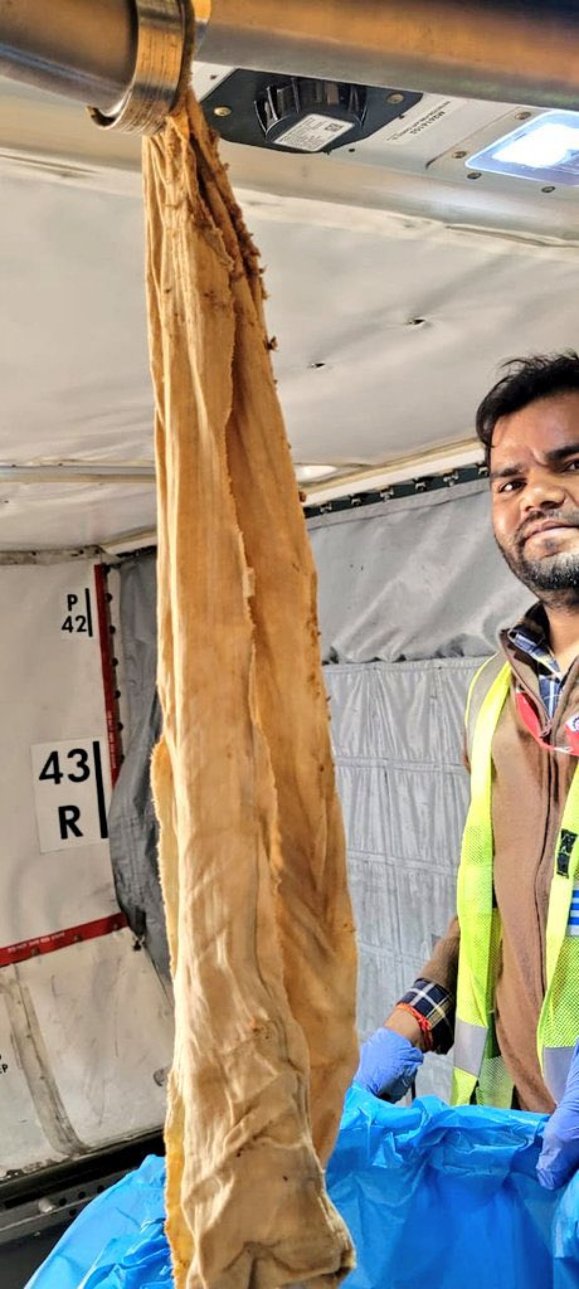 Voo da Air India precisa voltar para Chicago após banheiros serem entupidos com trapos, roupas e sacolas plásticas - Reprodução / Redes Sociais