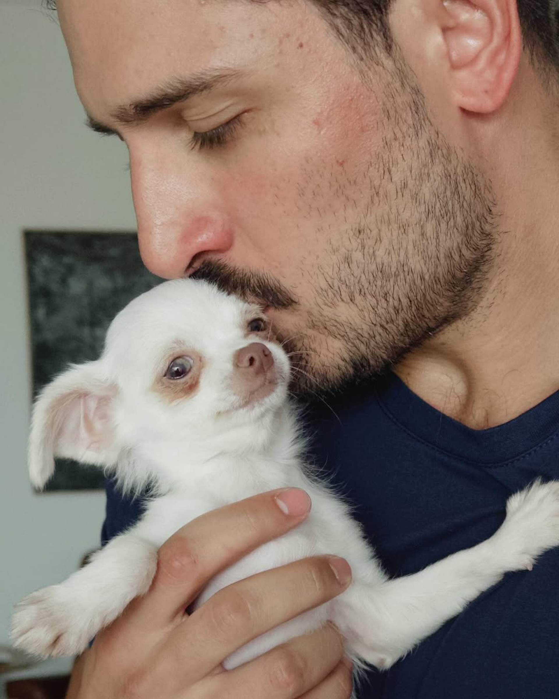 Daniel Rocha ainda não escolheu o nome do animal  - Reprodução/Instagram 