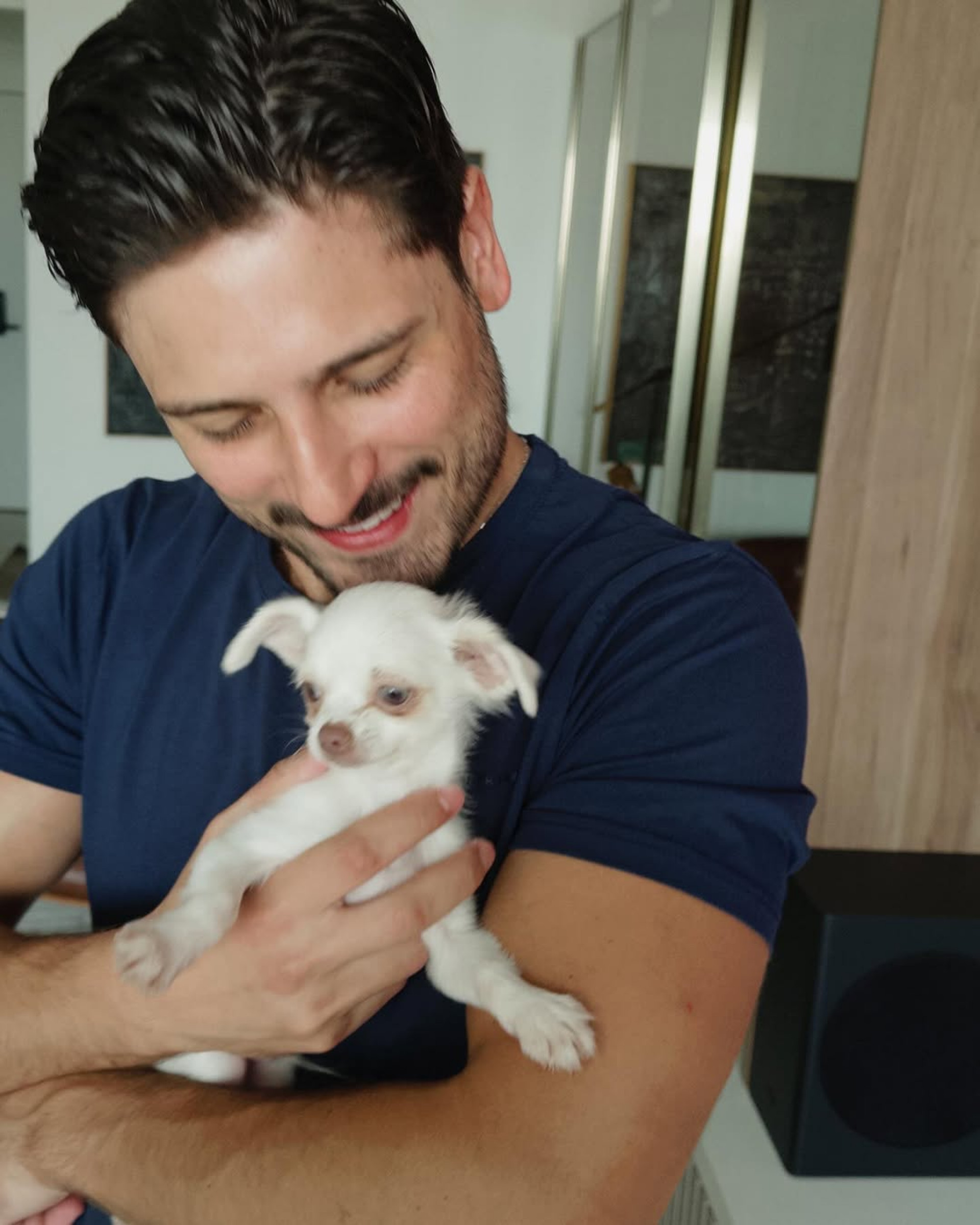 Daniel Rocha apresentou o cachorro nas redes sociais  - Reprodução/Instagram 