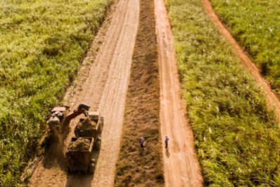 Parceria com Ufrrj amplia referência da Coagro no setor sucroenergético