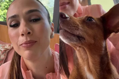 Tatá Werneck se revolta ao ser proibida de inscrever cachorro em concurso