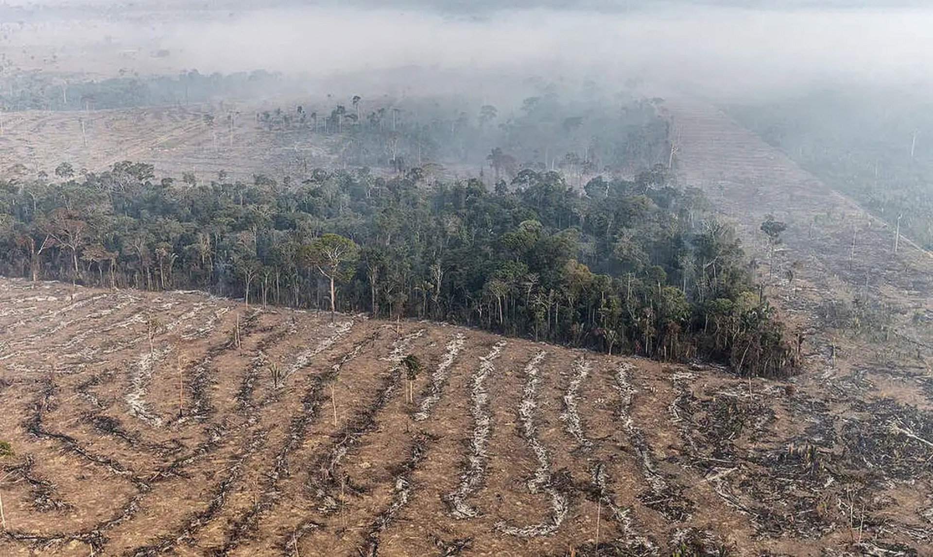 Desmatamento na Amazônia registra novo recorde de baixa