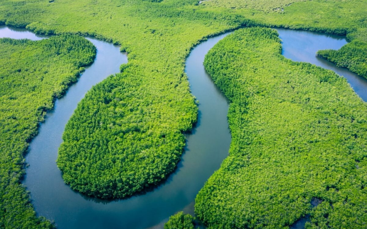 O Brasil tem a maior bacia fluvial mundial (Imagem: Curioso.Photograp | Shutterstock)