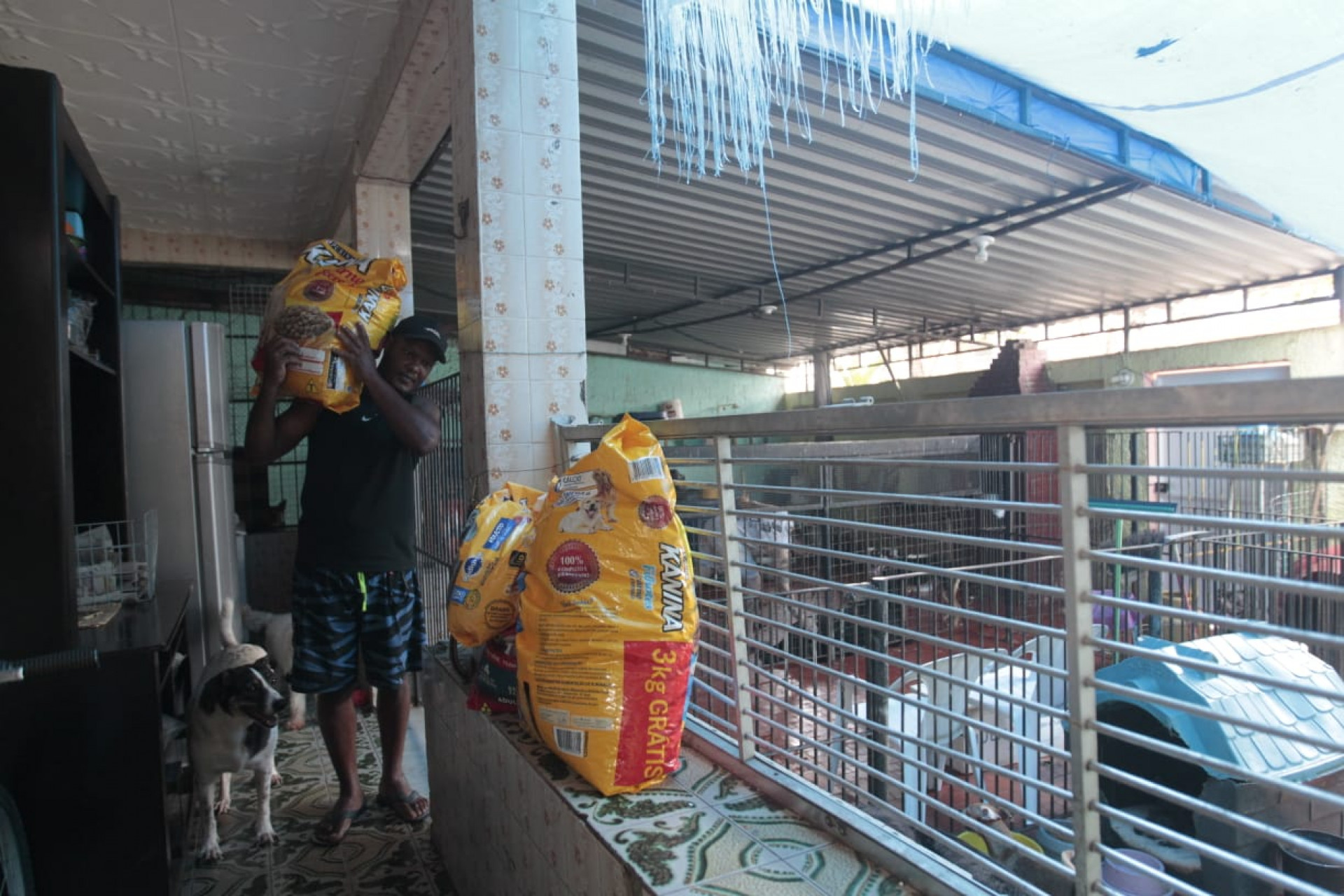 Funcionário carrega um dos poucos sacos de ração presentes no abrigo - Reginaldo Pimenta / Agência O Dia