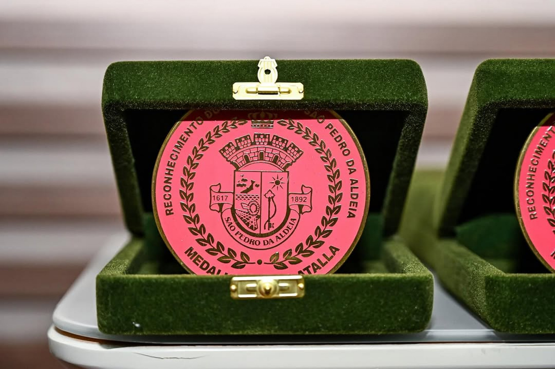 Medalha Sheila Atala, entregue às homenageadas - Reprodução/ Redes sociais