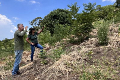 Nova Iguaçu promove ação de reflorestamento no Maciço Gericinó-Mendanha