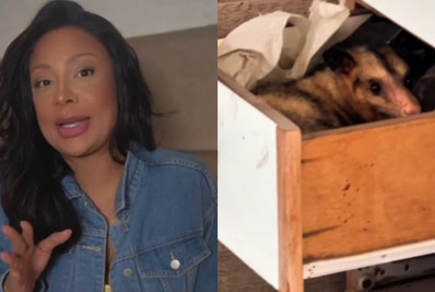 Ex-A Fazenda relata perrengue ao ter casa invadida por gambá