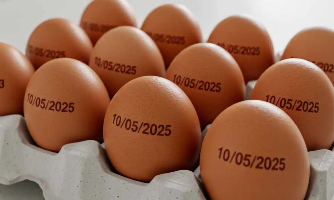 Brasil tem recorde na produção de ovos, abate de bovinos, frango e porco