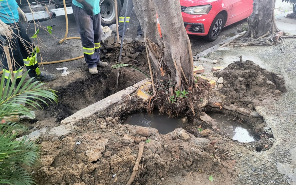 Árvore dificultou reparo na tubulação subterrânea e agora ameaça cair e danificar a rede elétrica