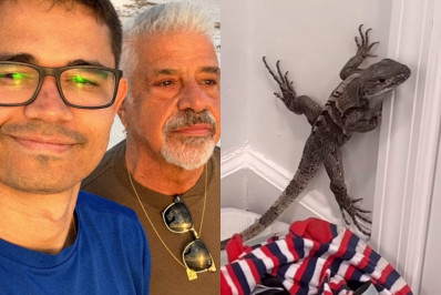 Casa de Lulu Santos e do marido é invadida por lagarto: 'Foi se enfiar logo no quarto'