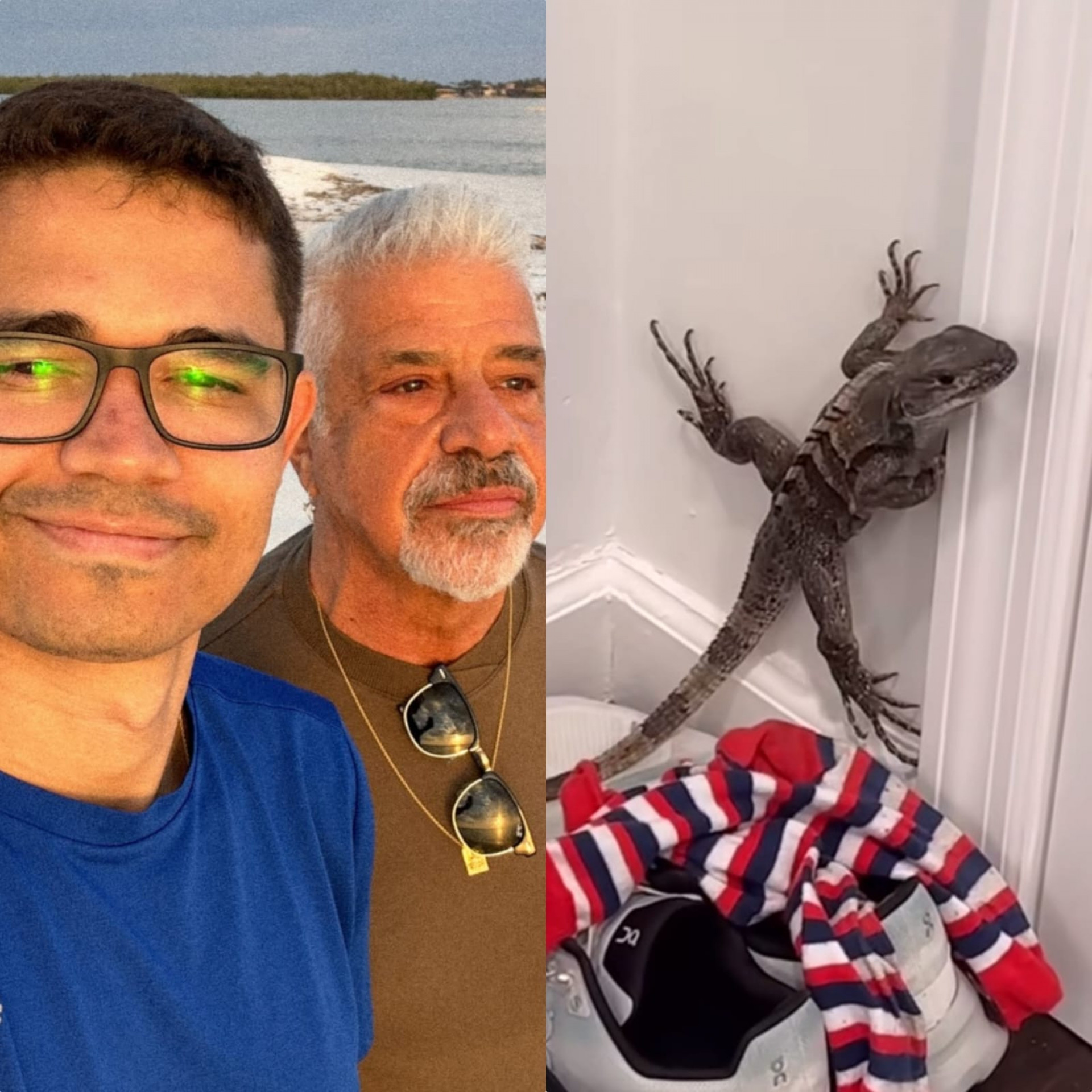 Casa de Lulu Santos e do marido é invadida por lagarto: 'Foi se enfiar logo no quarto' - Reprodução / Instagram