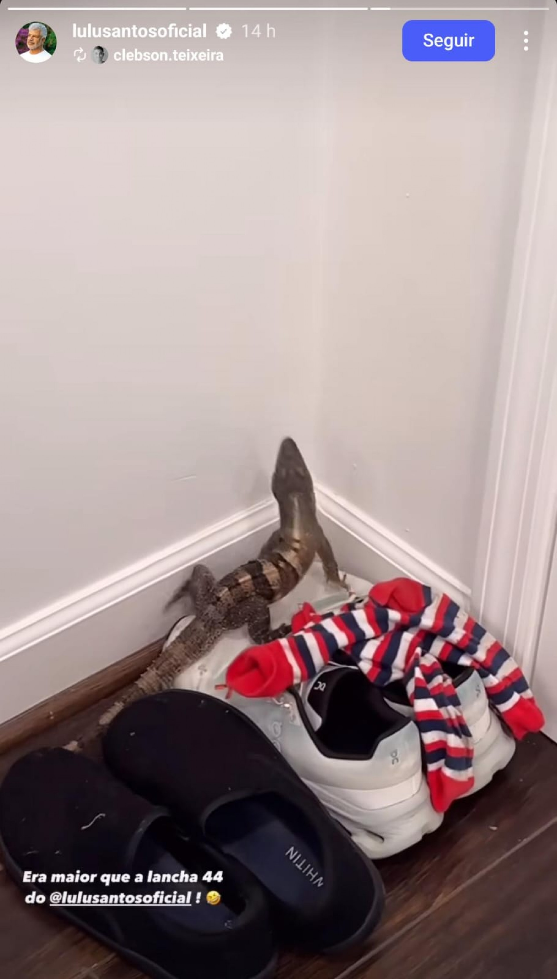 Casa de Lulu Santos e do marido, Clebson Teixeira, é invadida por lagarto - Reprodução de vídeo / Instagram
