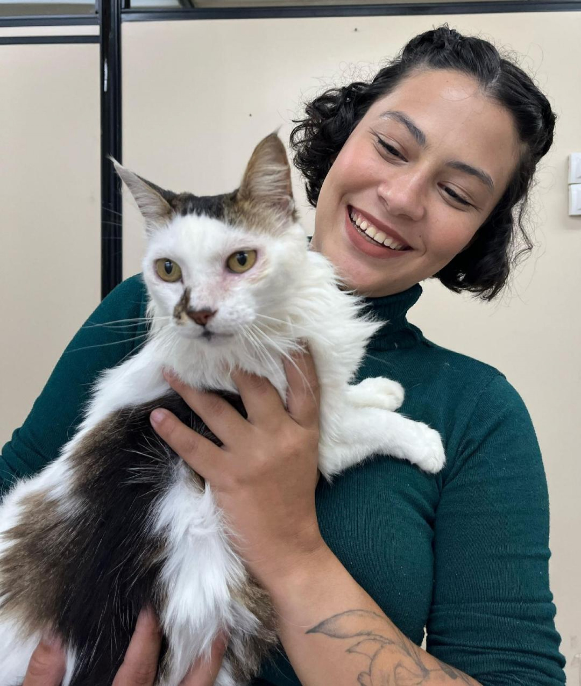 A gatinha Maitê, de seis anos, agora tem um novo lar cheio de amor