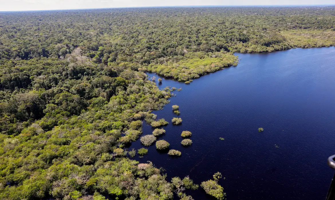 Fundo Amazônia vai destinar R$ 150 milhões para projetos ambientais