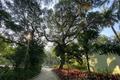 Niterói recebe selo Cidade Árvore do Mundo pelo quarto ano seguido