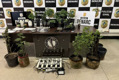 Quatro pessoas são presas pela produção de shampoos e óleos com uso de maconha