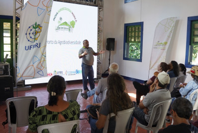 Feijões especiais: curso na Fazenda Joaquín Piñero ensina história e técnicas de cultivo com variedades do grão