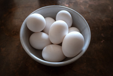 Gripe aviária: Minas Gerais descarta 450 toneladas de ovos fecundados provenientes do RS