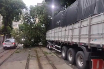 Caminhão bate em árvore e interdita rua no Centro; VLT tem operação interrompida