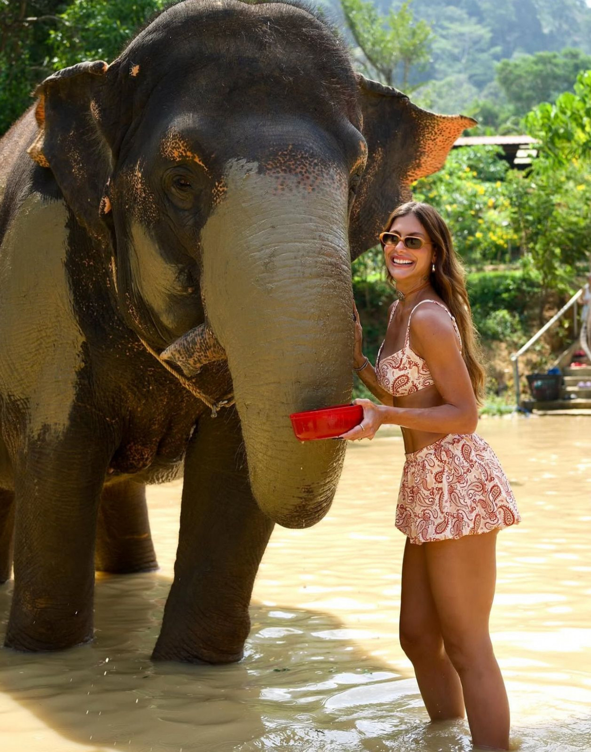Mari Gonzalez exibe registros com elefantes na Tailândia - Reprodução Instagram