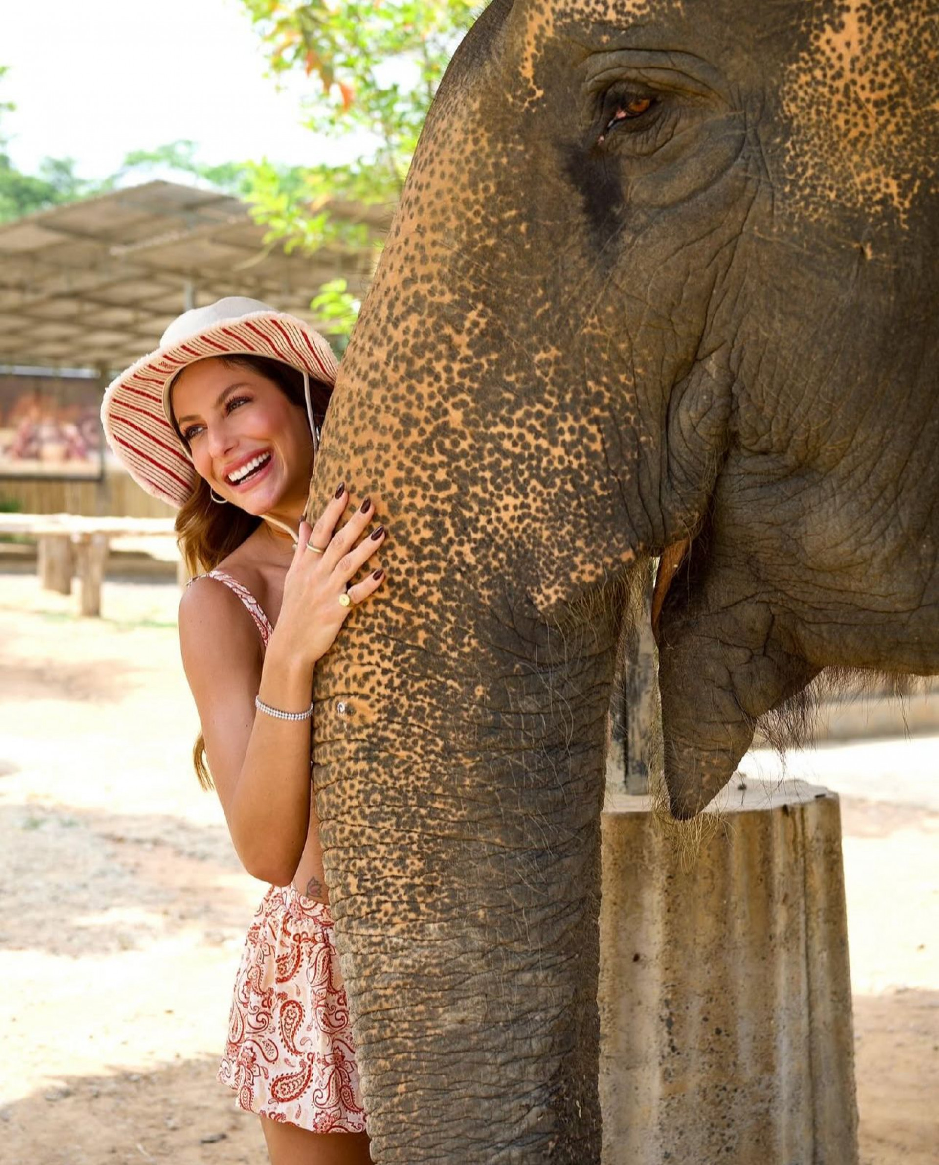Mari Gonzalez exibe registros ao lado de elefantes na Tailândia - Reprodução Instagram
