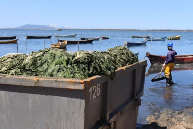 Ação de limpeza já removeu mais de 400 toneladas de lodo da lagoa de Araruama em São Pedro da Aldeia