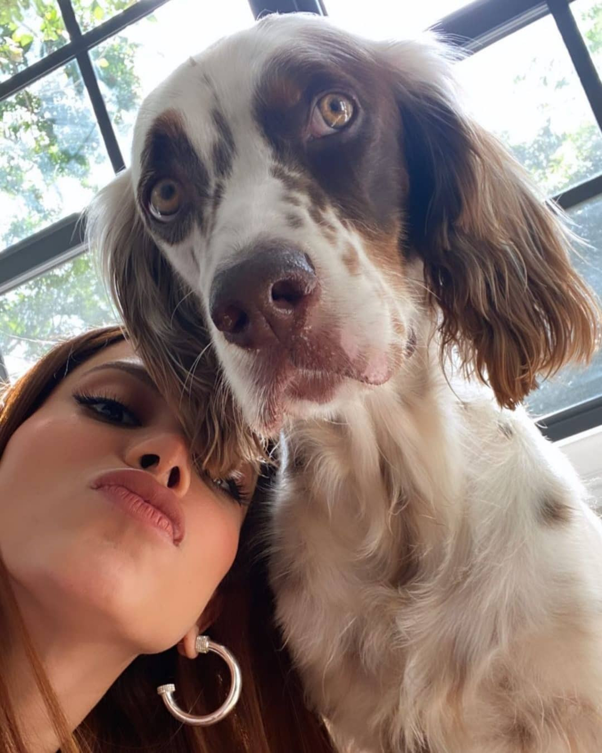 'Fez eu sair de pijama para o veterinário', diz Anitta ao relatar novo susto com cachorro - Reprodução / Instagram