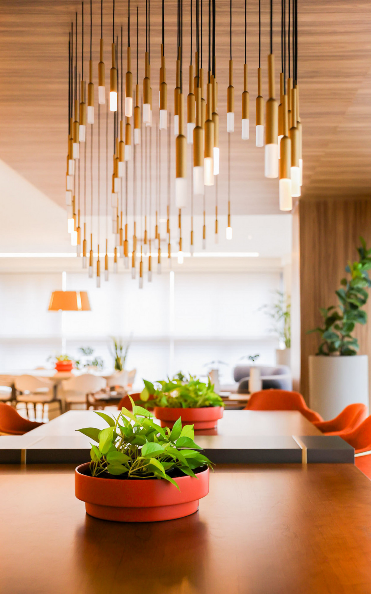 Maiara compra apartamento de R$ 10 milhões em Goiânia