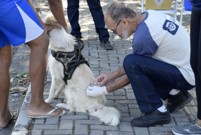 Prefeitura de Resende irá realizar nova etapa de vacinação antirrábica neste sábado