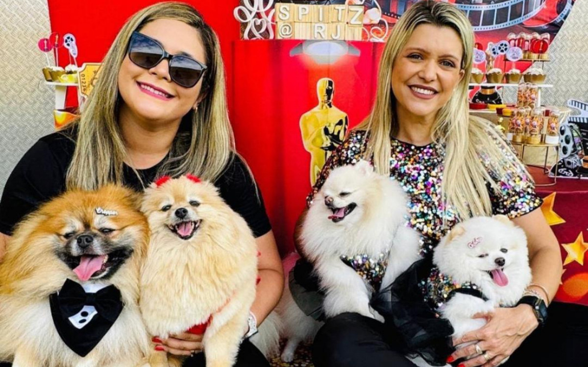Cachorrinhos no encontro